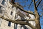 "Bezugsfreie, helle 2 Zimmer Wohnung mit Balkon, Fahrstuhl und Stellplatz in Wilhelmsruh" - Blick zum Balkon