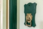 "Sanierte Stuck Altbauwohnung mit Südbalkon zwischen Teltowkanal und Stadtpark Steglitz" - Detail