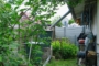 "Sie planen ein Traumhaus mit Garten und es fehlt das passende Grundstück in F-Buchholz?" - Regenwasser