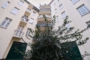 "Vermietete 85 m² Altbauwohnung mit Balkon und ausgebauten 63 m² DG am Preussenpark in Wilmersdorf" - Innenhoffassade