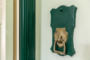 "Wunderschöne und helle Altbauwohnung mit Südbalkon am Stadtpark Steglitz" - Detail