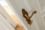 "Traumhaftes Apartment mit Balkon und Einbauküche im Winsviertel" - Detail Türbeschlag