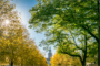 "Mondäne, vollständig sanierte Altbauwohnung in Pankow mit Balkon und Nähe zum Schloßpark" - Blick zur Kirche