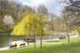 Schmucke und ruhige 3 Zimmer-Wohnung im Prenzlauer Berg - Volkspark Friedrichshain